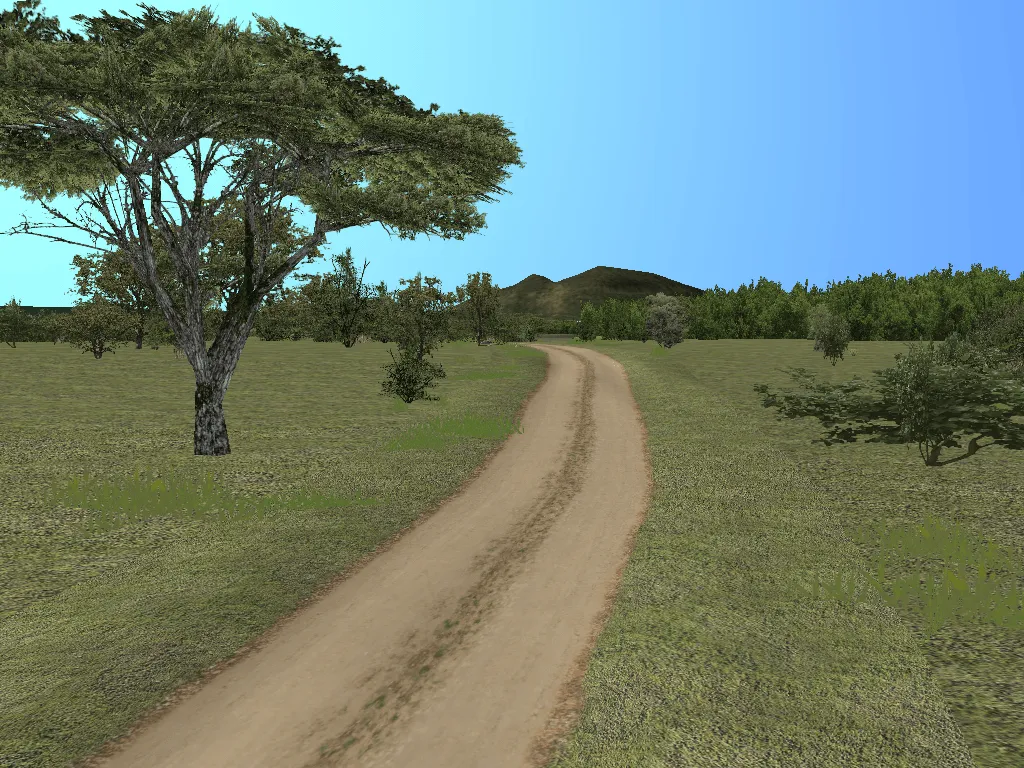 Sleeping Warrior 2019