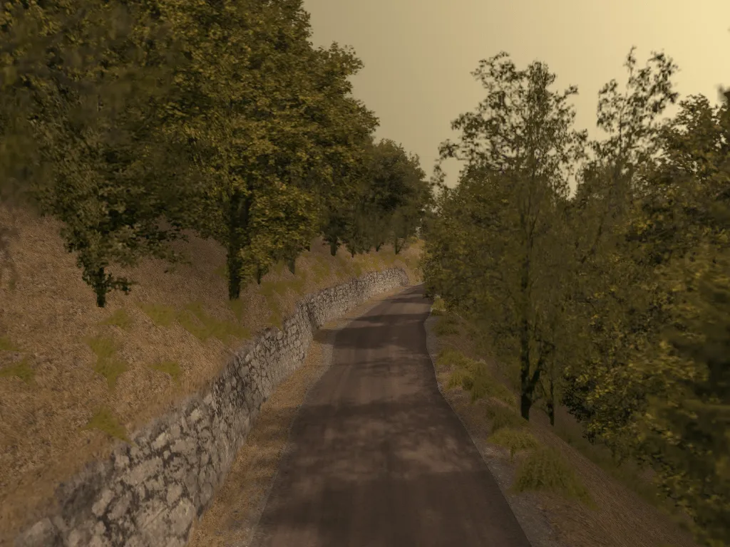 Joux Plane II Gravel