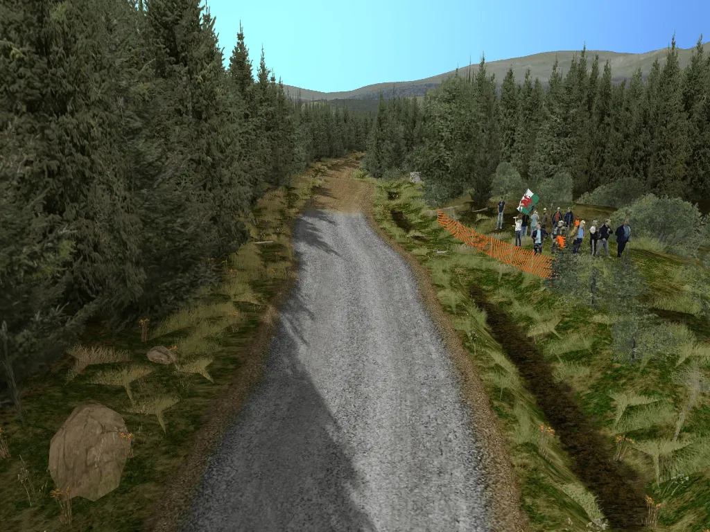 Sherwood Forest I Summer