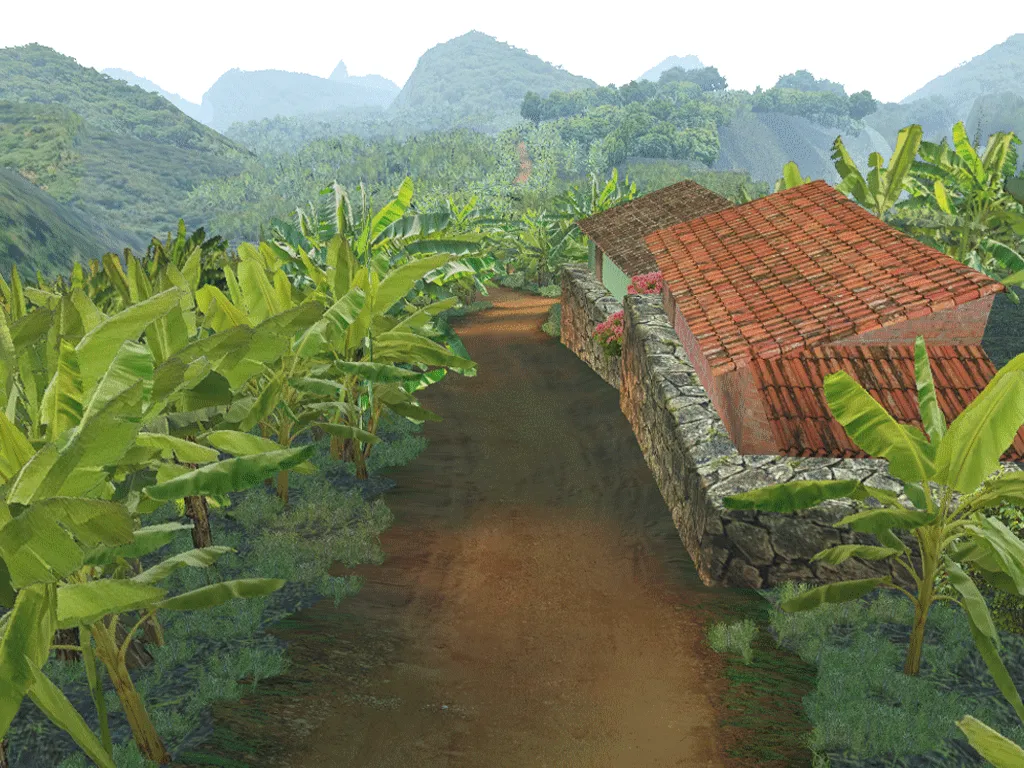 Estrada da Banana - Downhill