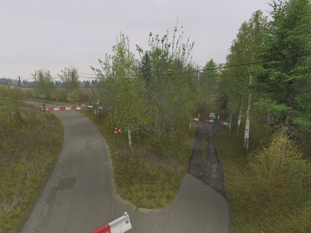 Witoszow - Zloty Las