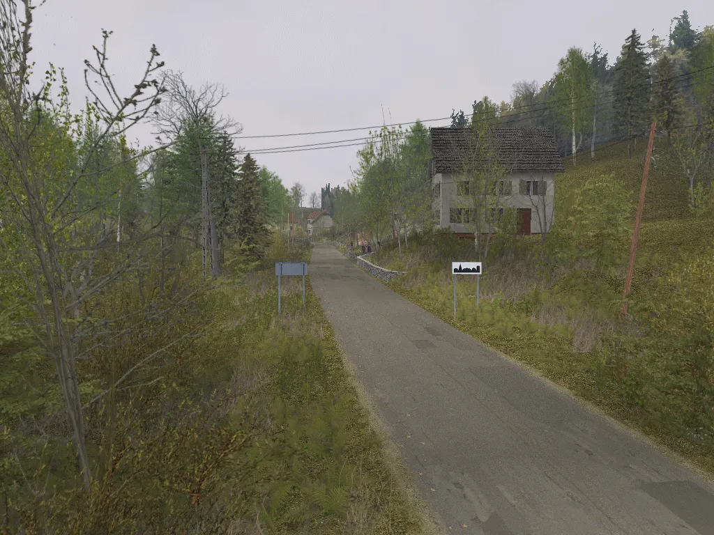 Zloty Las - Witoszow